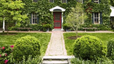 Revamping Your Garden