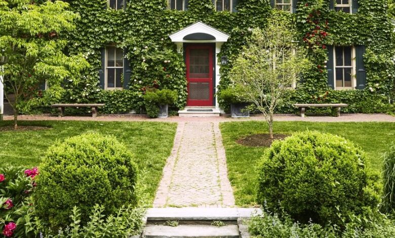 Revamping Your Garden