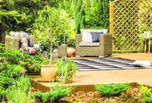 Refresh Backyard Without Spending a Dime