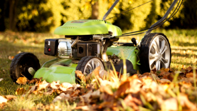 Best Lawn and Gardening Maintenance in Alabama