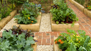 Gardening and Flower Bed Design