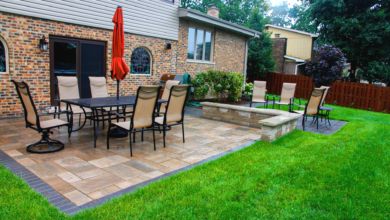 Premier Gardening and Lawn Care in Colorado