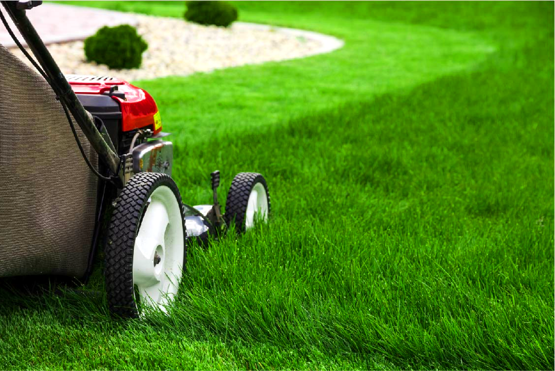 Premier Gardening and Lawn Care in Colorado