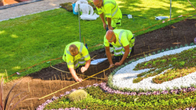 Reliable Gardening and Tree Trimming Services in Washington