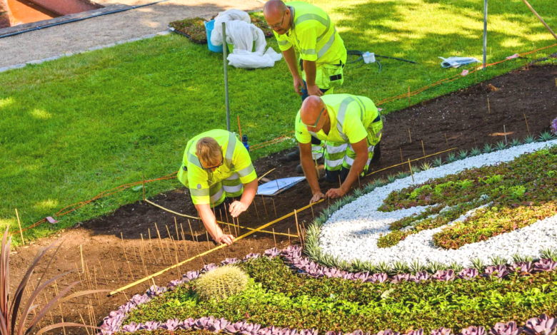 Reliable Gardening and Tree Trimming Services in Washington