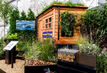 Sustainable Gardening Services in Arizona: Eco-Friendly Solutions