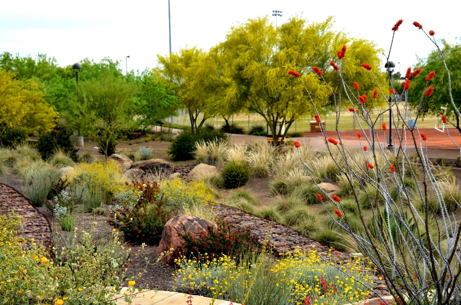 Sustainable Gardening Services in Arizona: Eco-Friendly Solutions