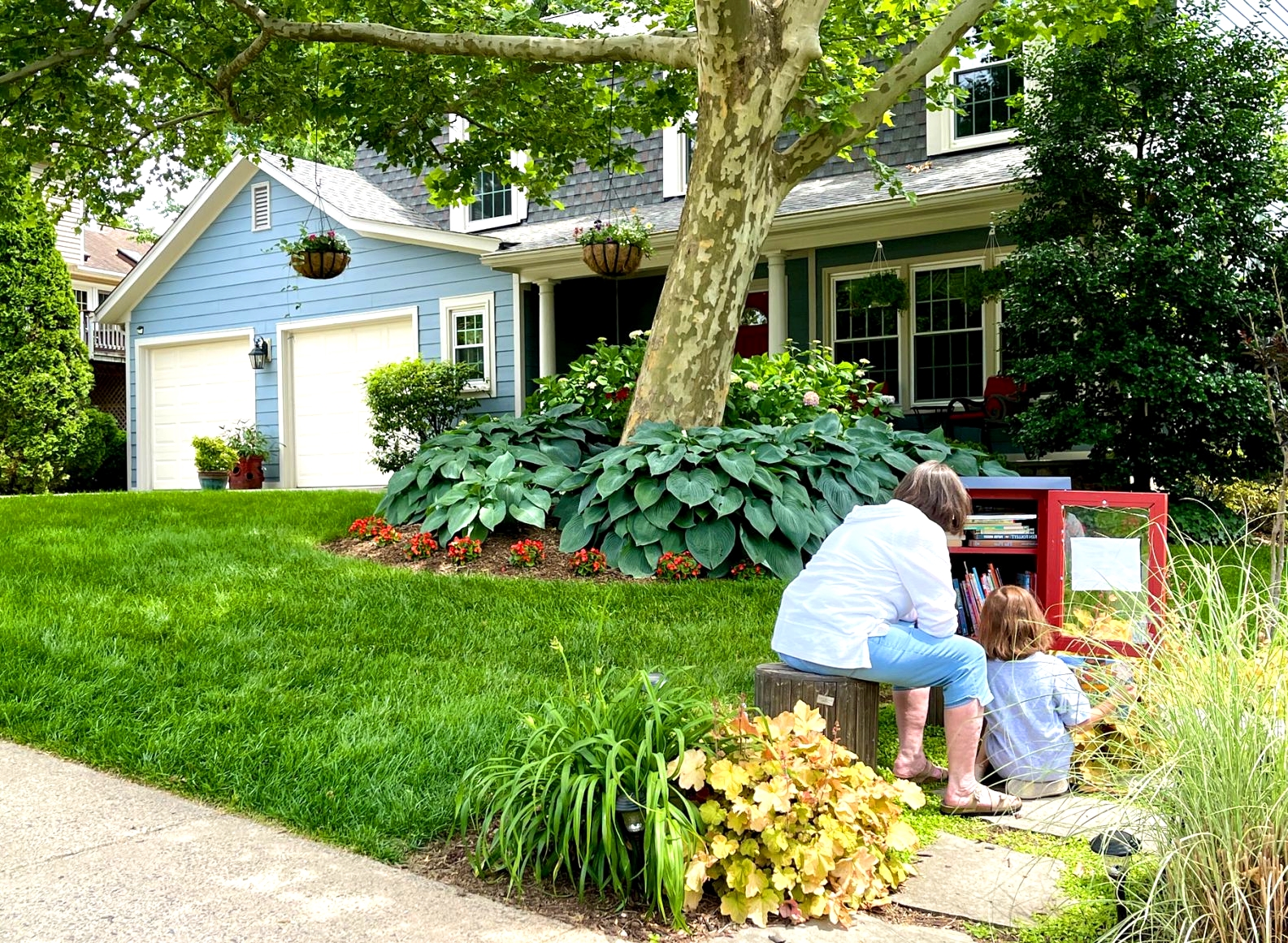 Top Gardening and Plant Care Experts in Virginia