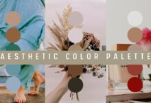 Best Color Palettes