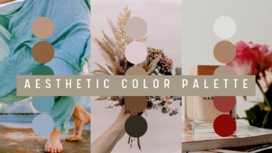 Best Color Palettes