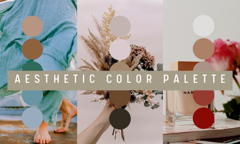 Best Color Palettes