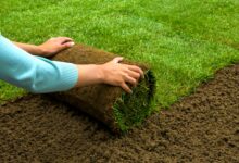 Install Artificial Turf