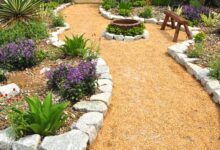 Low Water Landscaping