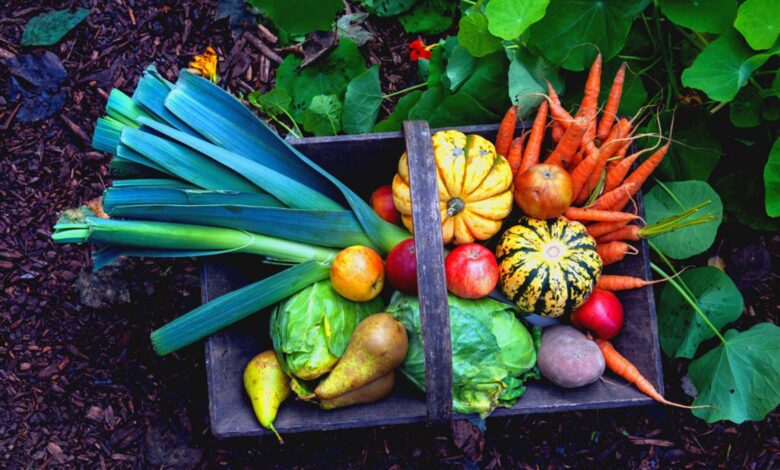 Seasonal Gardening Guide