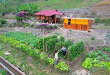 Sustainable Gardening