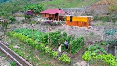 Sustainable Gardening