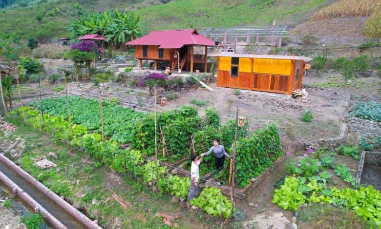 Sustainable Gardening