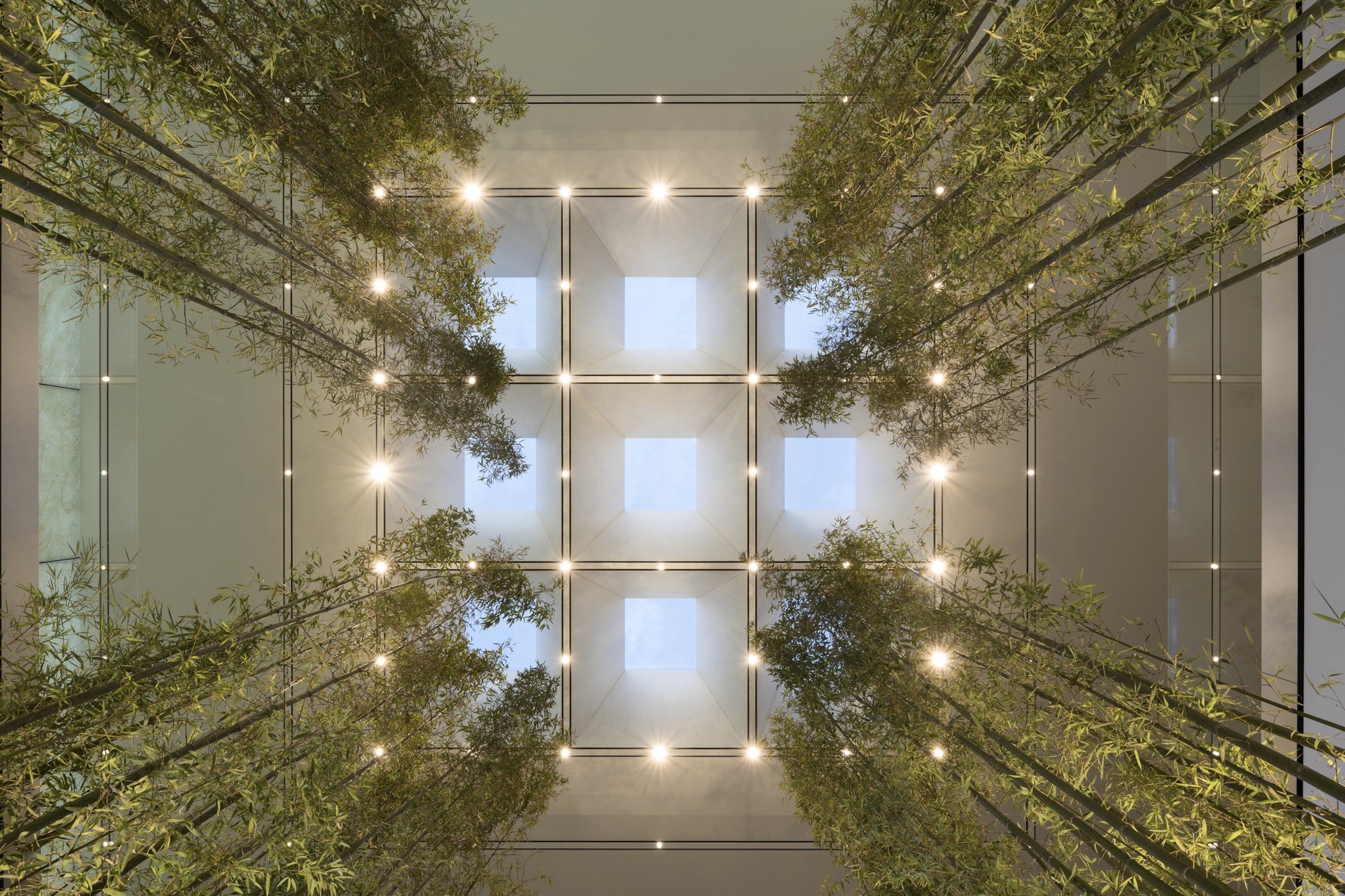 Working with Natural and Artificial Lighting