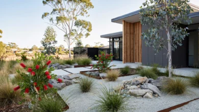 . Gardening Ideas Trending Across Homes in Queensland
