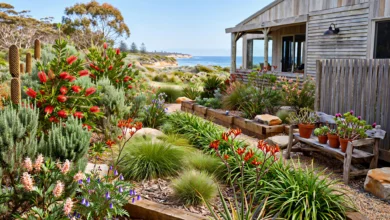 Gardening Tips for Homes in New South Wales