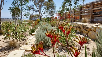 Gardening Tips for Homes in Western Australia