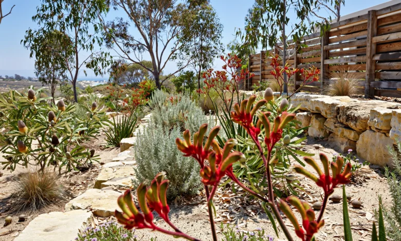 Gardening Tips for Homes in Western Australia