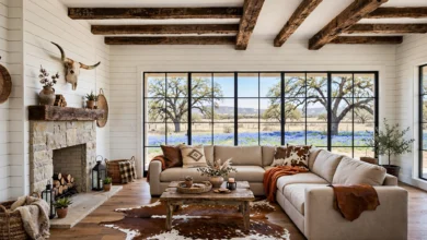 Living Room Ideas for a Farmhouse-Style Home in Texas