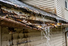 10 Signs Your Gutters Need Immediate Repair